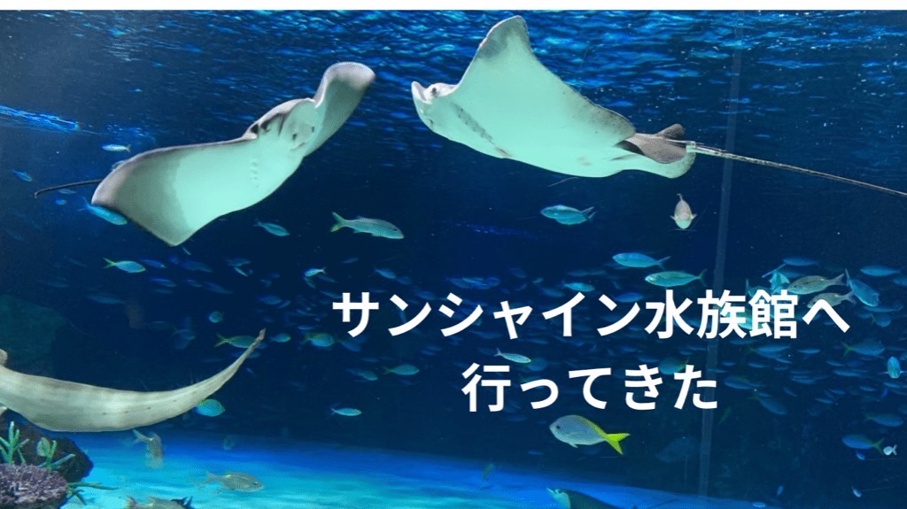 サンシャイン水族館