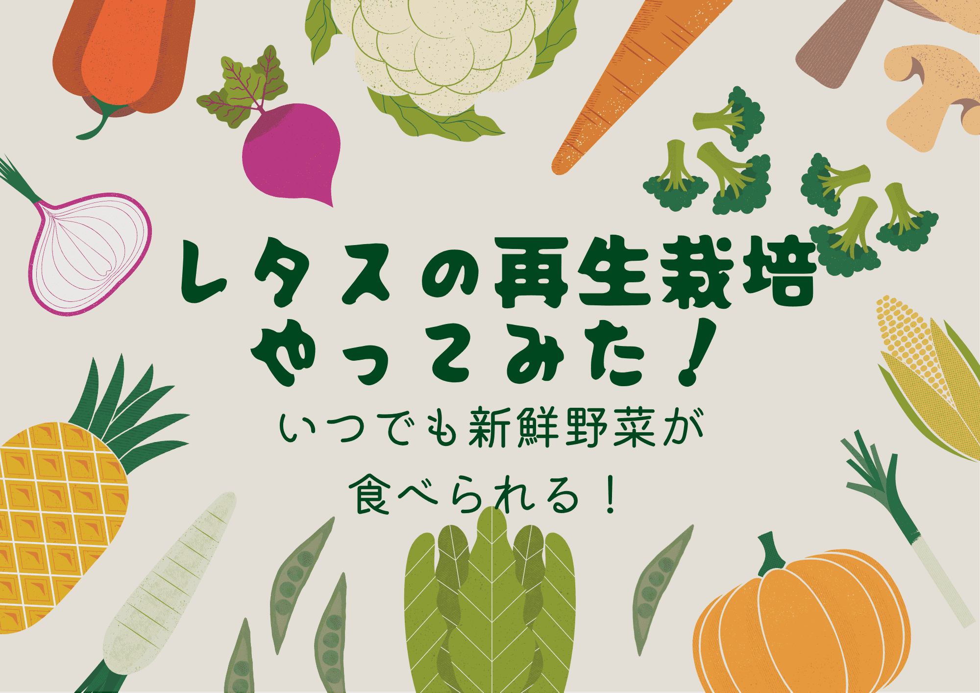 スーパーの「根付きレタス」で簡単に始める再生栽培。節約・エコ・楽しい！初心者向けにやり方とコツを紹介します。